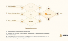 比特币原生拓展技术集大成者——BEVM技术黄皮书全面解读