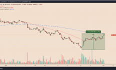 Dogwifhat（WIF）价格飙升，BARR底部模式预示7月强劲走势