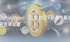 Cathie Wood：以太坊ETF获批关联加密选举议题