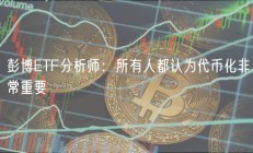 彭博ETF分析师：所有人都认为代币化非常重要