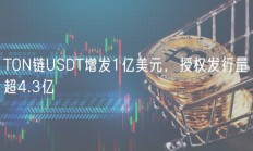 TON链USDT增发1亿美元，授权发行量超4.3亿