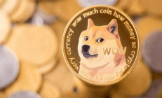 DOGE狗狗币5月29日最新价格行情 深入研究今日价格下跌原因